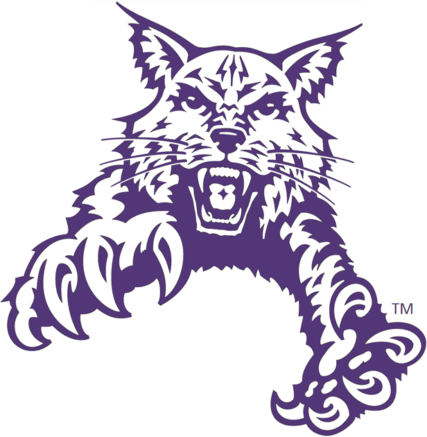 Abilene Christian Wildcats 1997-2012 Partial Logo v2 diy fabric transfer